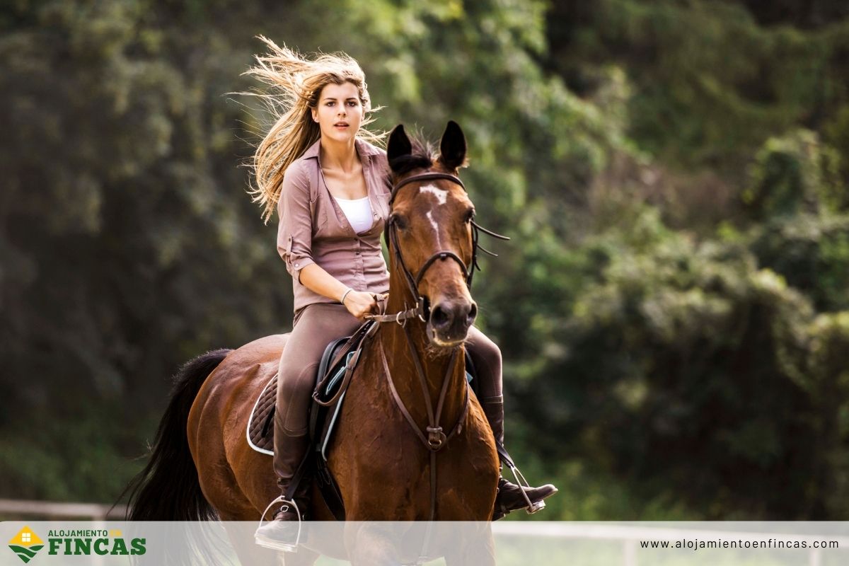 cabalgatas, fogatas, kayaks y más