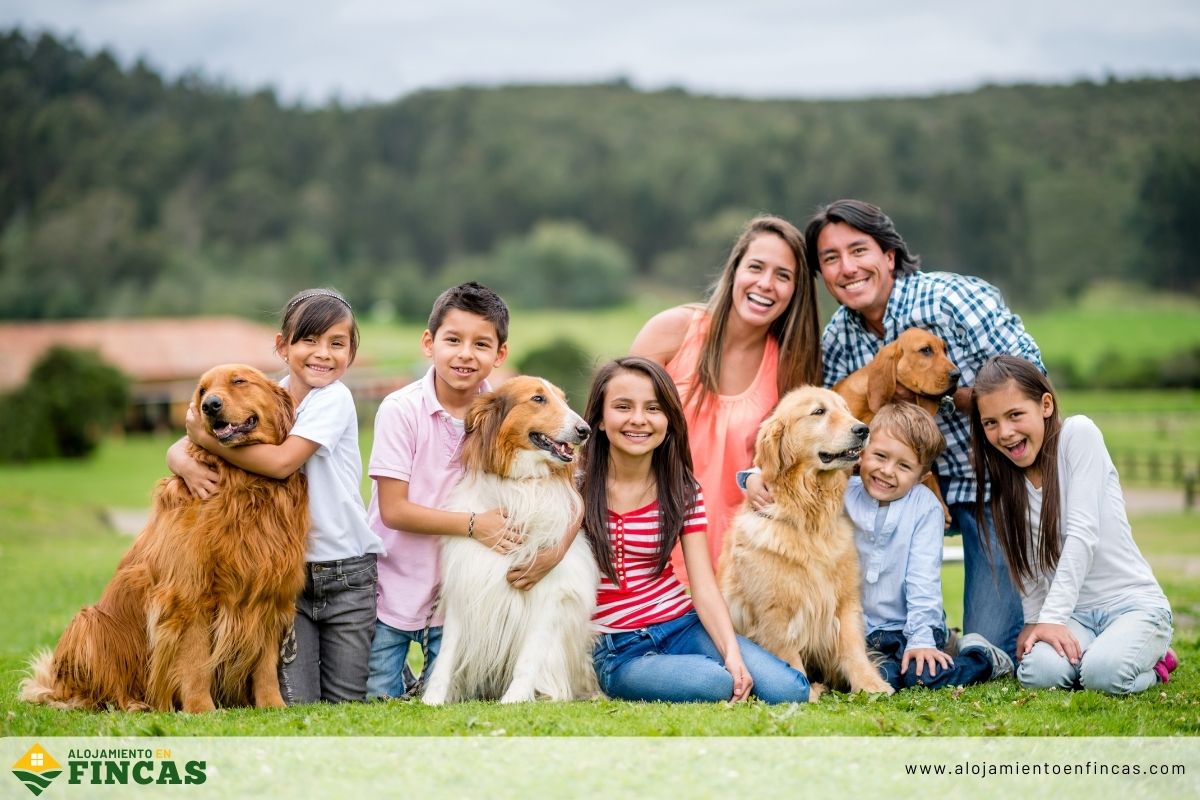Fincas pet friendly, requisitos, costos y etiqueta