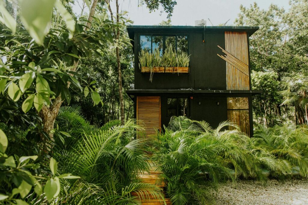 ecologdes ecologdes