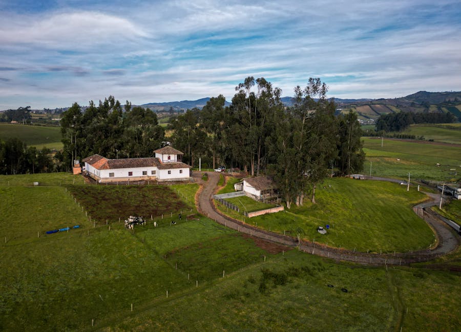 Imagen de Experiencias Gastron&oacute;micas en Fincas: Comida T&iacute;pica Colombiana que Debes Probar