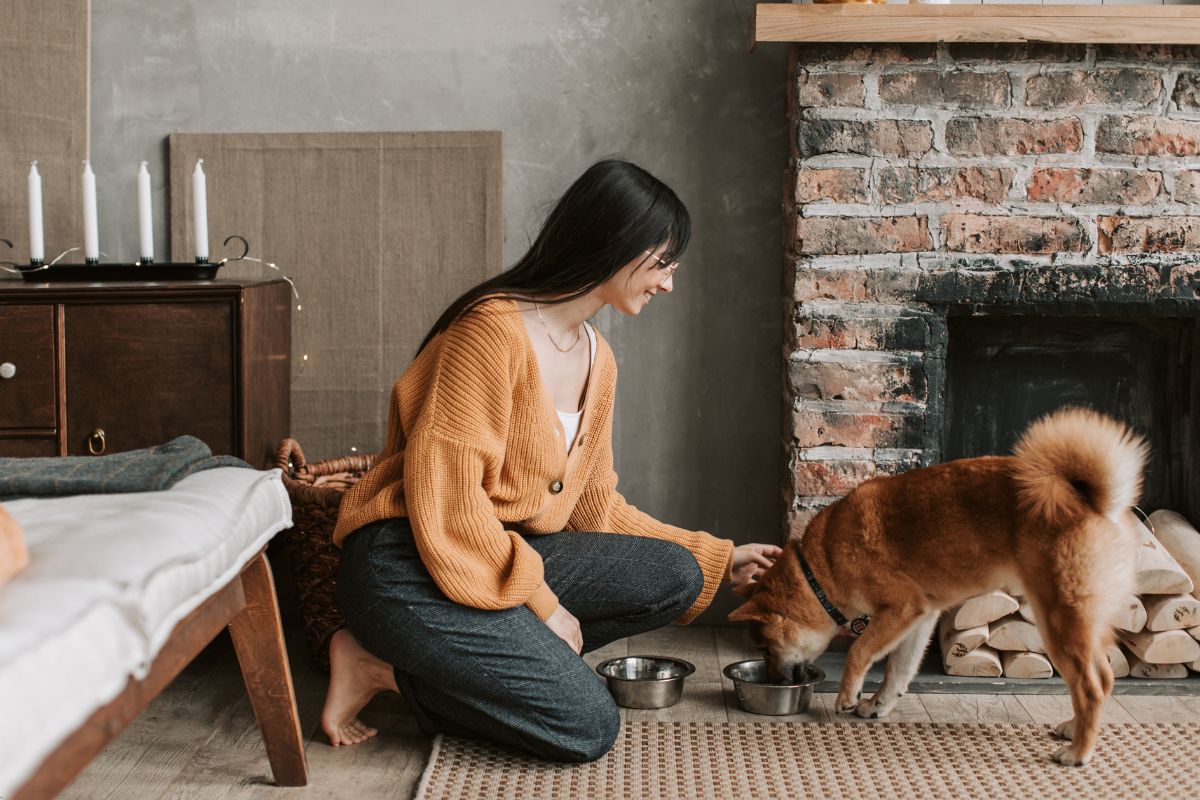 Fincas con chimenea: los mejores planes para el clima fr&iacute;o